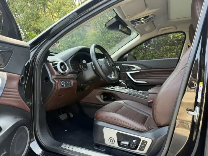 WEY VV7 2020 Model 2.0T Flagship Model – фото 8
