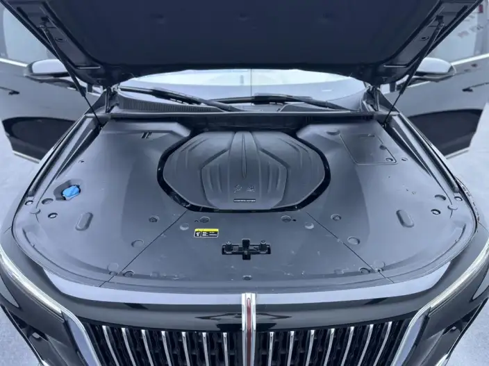 HONGQI H9 2020 Model 2.0T Smart Flag Enjoy Edition – фото 8