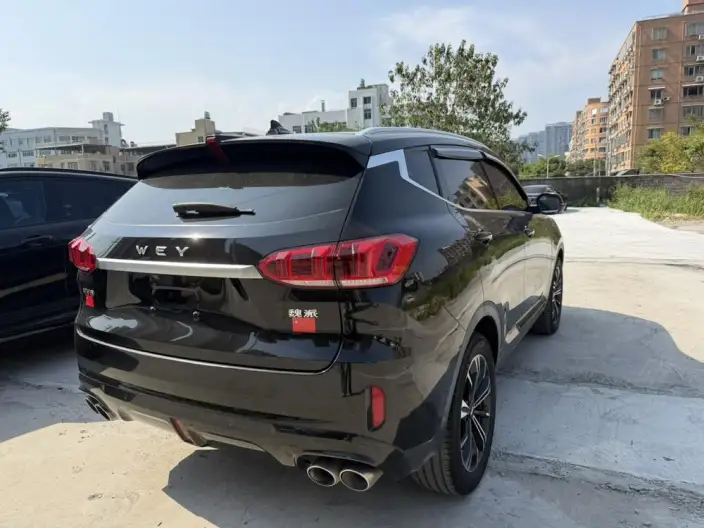 WEY VV6 2021 Model 2.0T 2WD Smart Enjoy + – фото 6
