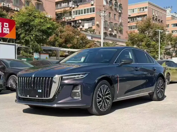 Hongqi H5 2024 Model 2.0T Automatic Flag Lead Edition – фото 1