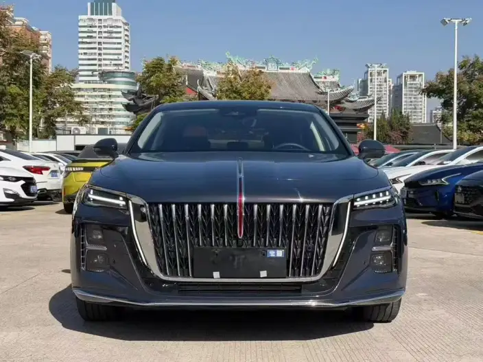 Hongqi H5 2024 Model 2.0T Automatic Flag Lead Edition – фото 2