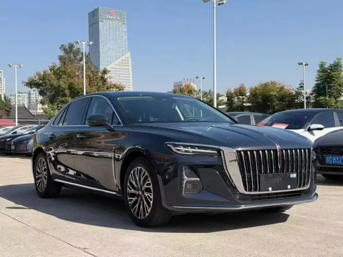 Hongqi H5 2024 Model 2.0T Automatic Flag Lead Edition – фото 3