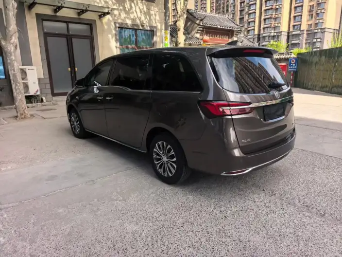 Buick GL8 2023 Model Business class 2.0T Luxury Model – фото 4