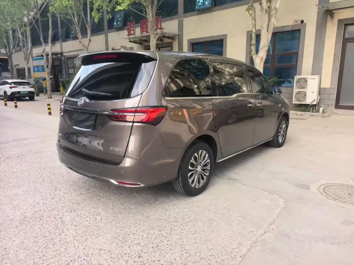 Buick GL8 2023 Model Business class 2.0T Luxury Model – фото 6