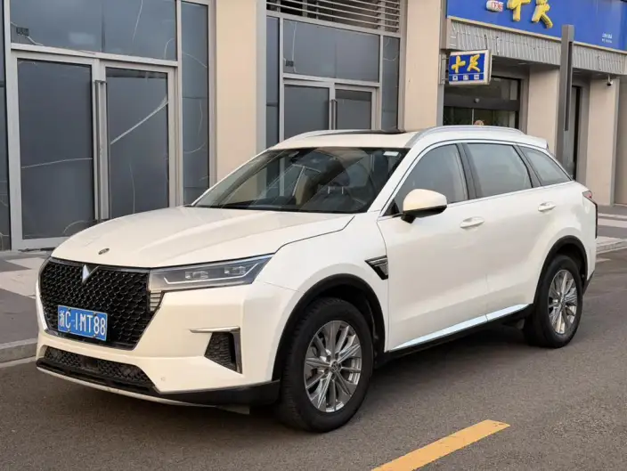 Qichen Star 2020 Model 260T 48V Mild Hybrid Boost Star Enjoy Edition – фото 1