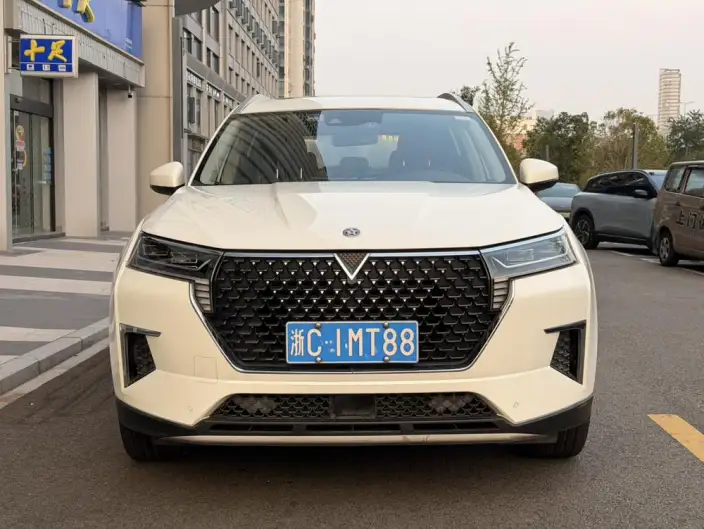 Qichen Star 2020 Model 260T 48V Mild Hybrid Boost Star Enjoy Edition – фото 2