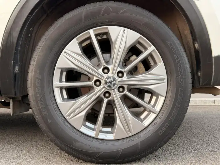 Qichen Star 2020 Model 260T 48V Mild Hybrid Boost Star Enjoy Edition – фото 6
