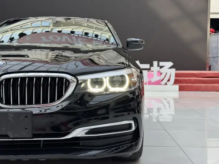 BMW 5 Series 2020 Model 525Li Luxury Set – фото 8