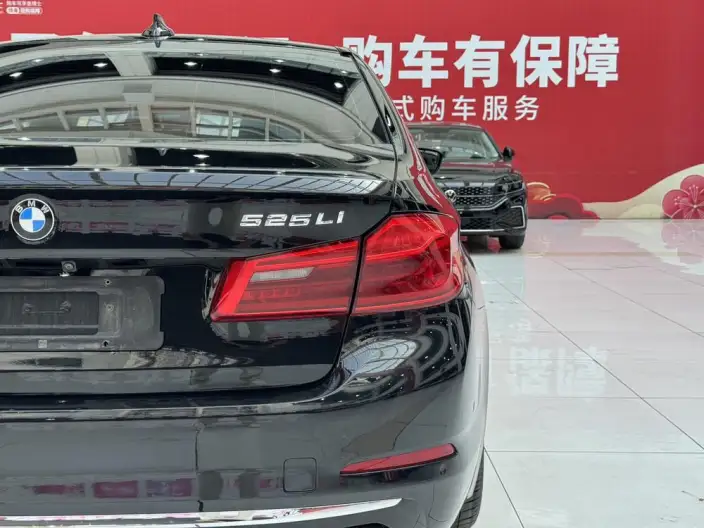 BMW 5 Series 2020 Model 525Li Luxury Set – фото 9