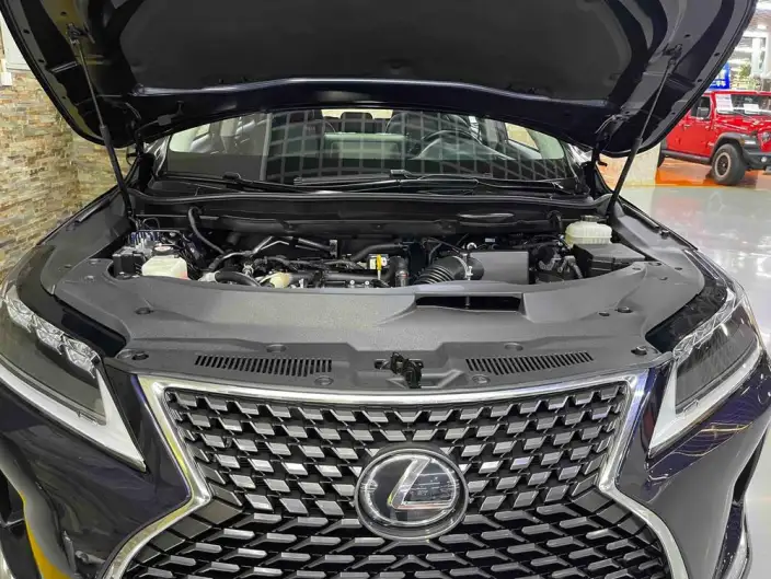 Lexus RX 2020 Model 300 4WD Elegant Edition China V – фото 5
