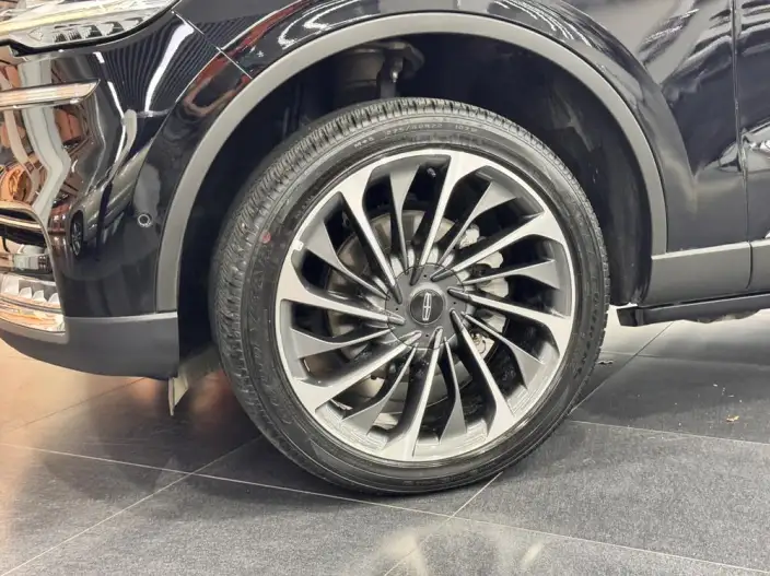 Aviator 2021 Model 3.0T V6 4WD Executive Edition – фото 7