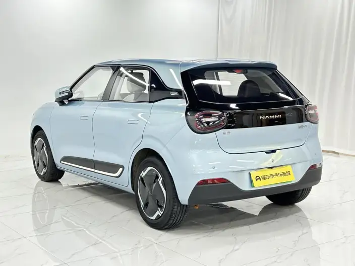 Dongfeng Nano 01 2024 Model 330Plus Smart + – фото 5