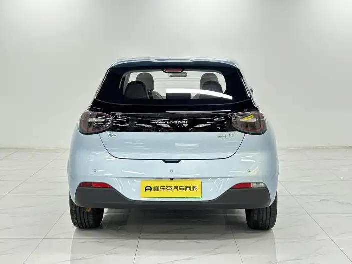 Dongfeng Nano 01 2024 Model 330Plus Smart + – фото 6