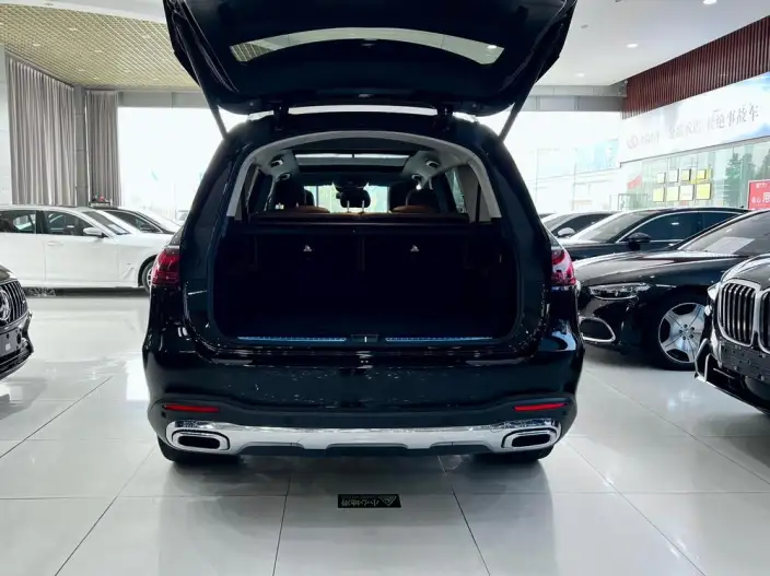 Mercedes-Benz GLS 2025 Model GLS 450 4MATIC Dynamic Model – фото 7