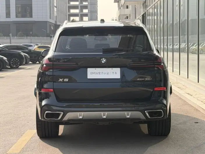 BMW X5 2023 Model xDrive30Li Exclusive Model M Sports Set – фото 4