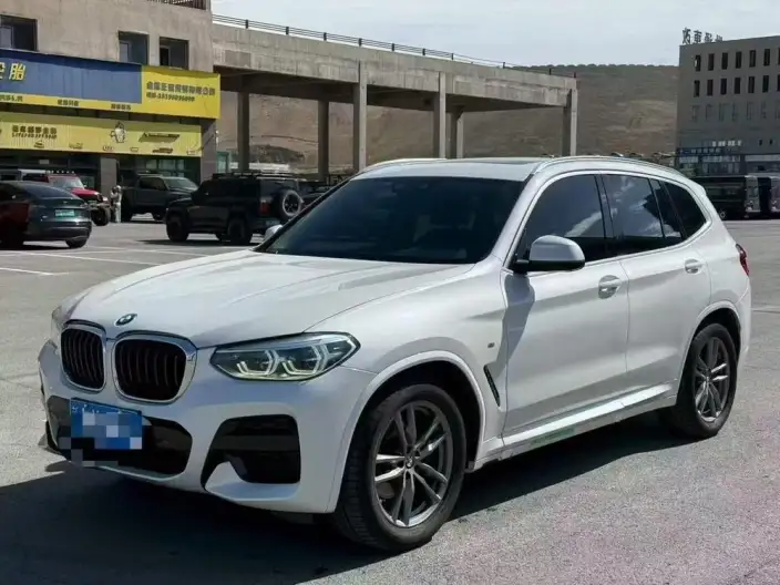 BMW X3 2021 Model xDrive25i M Sports Set – фото 1