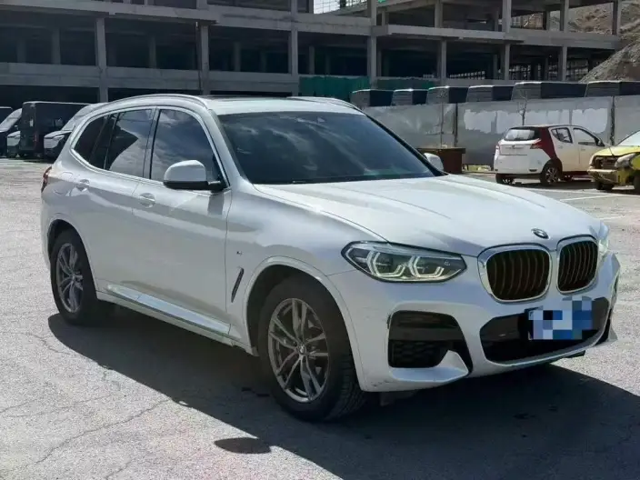BMW X3 2021 Model xDrive25i M Sports Set – фото 3