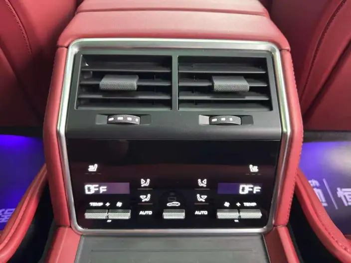 Panamera 2023 Model Facelift Panamera 2.9T Platinum edition – фото 10