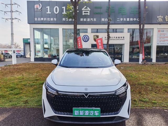 Venucia V+ DD-i Раздел 2023 110KM iE Edition