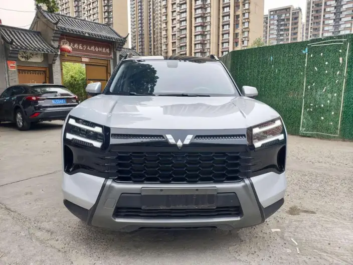 Xingguang 560 PHEV 2026 Model 125km Luxury Model – фото 2