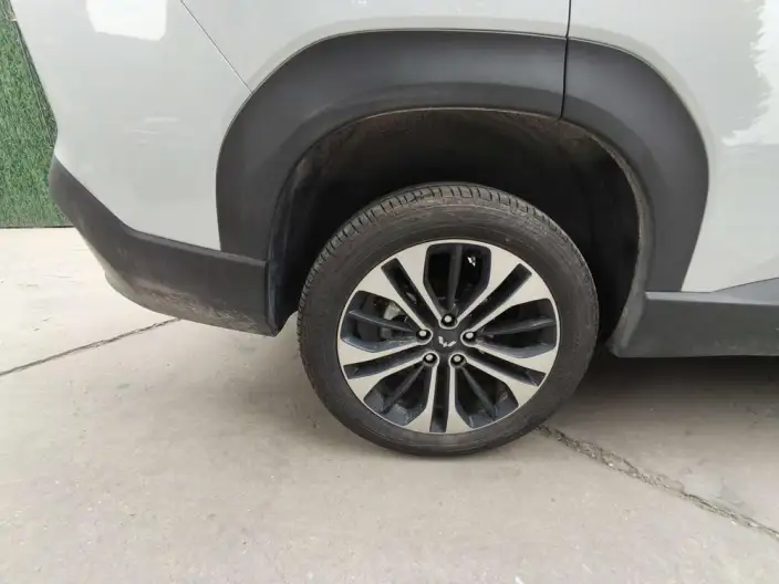 Xingguang 560 PHEV 2026 Model 125km Luxury Model – фото 10