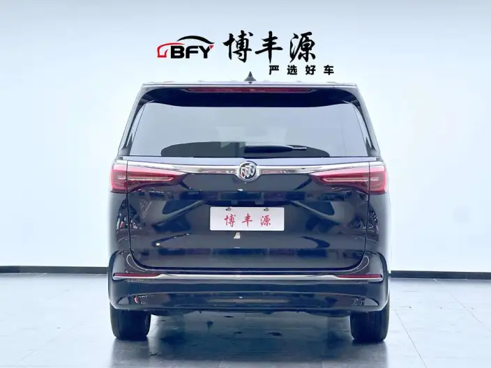 Buick GL8 2023 Model ES Luzun 2.0T Flagship Model – фото 3