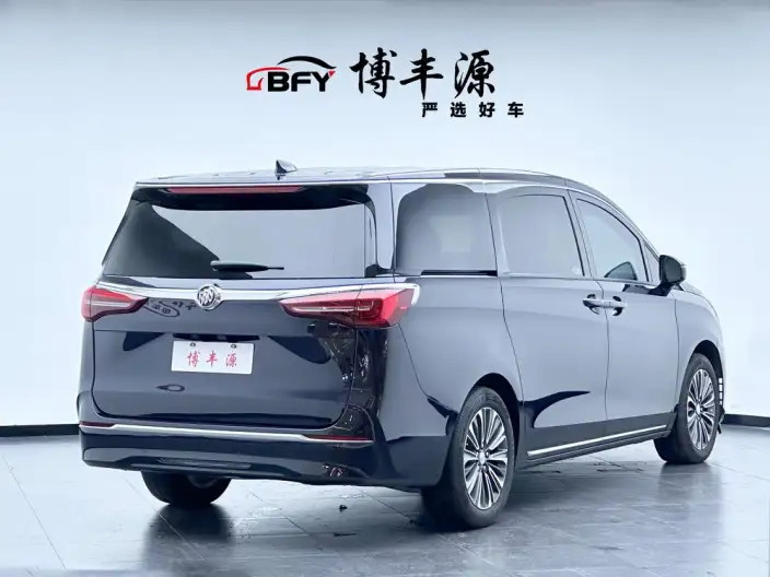 Buick GL8 2023 Model ES Luzun 2.0T Flagship Model – фото 4