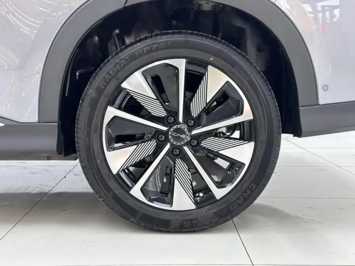 BYD Song PLUS DM 2025 Model Smart Driving Edition DM-i 112KM Noble Model – фото 9