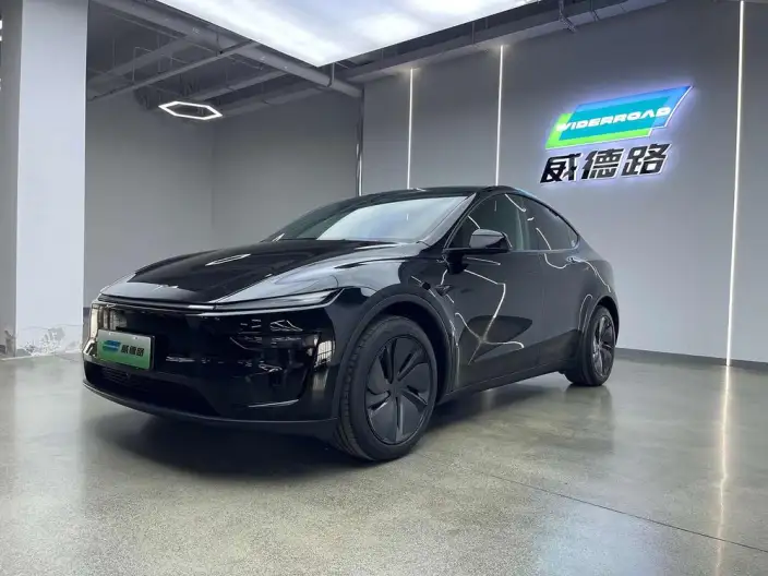 Model Y 2025 Model Rear-wheel drive version – фото 1