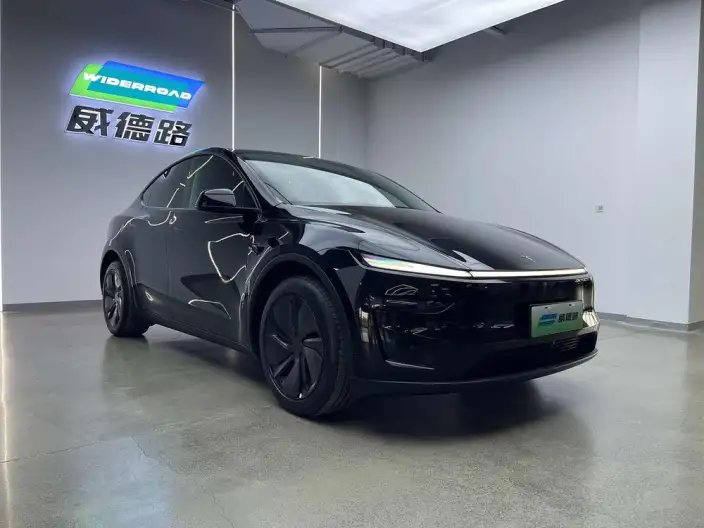 Model Y 2025 Model Rear-wheel drive version – фото 3