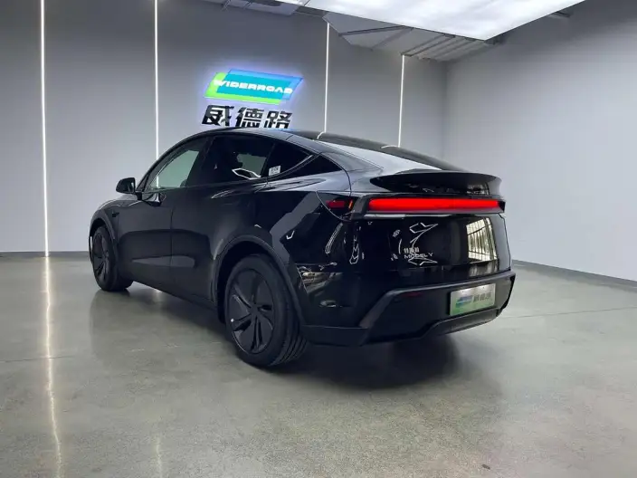 Model Y 2025 Model Rear-wheel drive version – фото 4