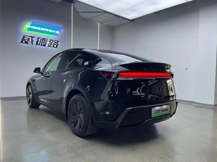 Model Y 2025 Model Rear-wheel drive version – фото 10