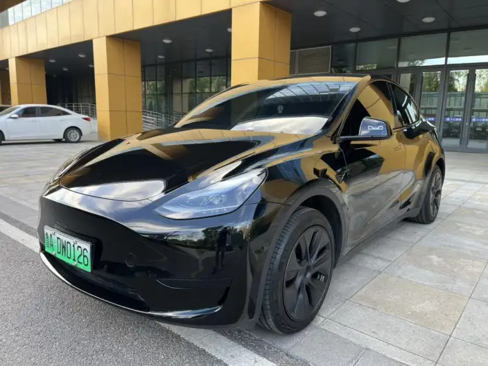 Model Y 2023 Model Rear-wheel drive version – фото 1