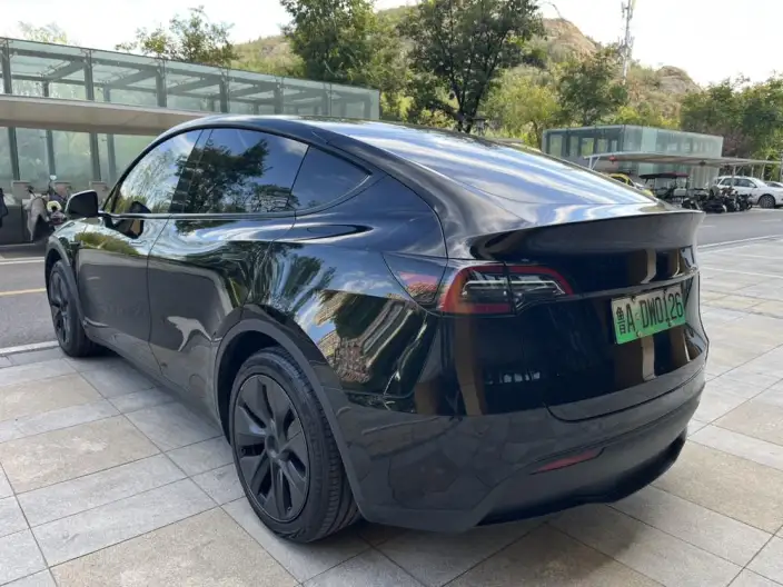 Model Y 2023 Model Rear-wheel drive version – фото 5