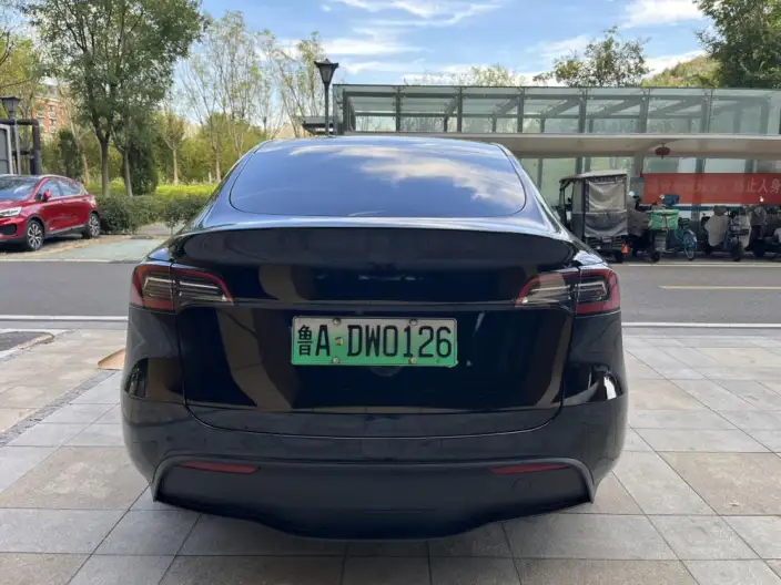 Model Y 2023 Model Rear-wheel drive version – фото 6