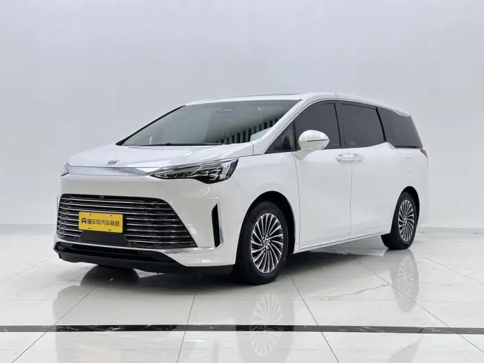 Century 2023 Model 2.0T VII seat Zhen Xiang Model – фото 1
