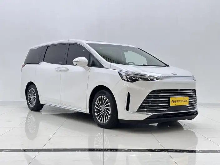 Century 2023 Model 2.0T VII seat Zhen Xiang Model – фото 3