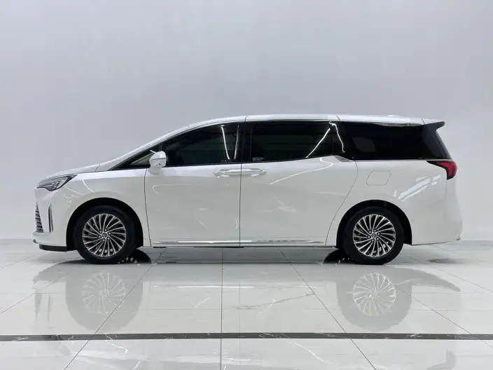 Century 2023 Model 2.0T VII seat Zhen Xiang Model – фото 4