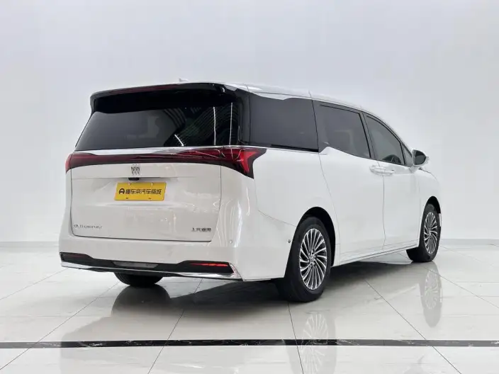 Century 2023 Model 2.0T VII seat Zhen Xiang Model – фото 7
