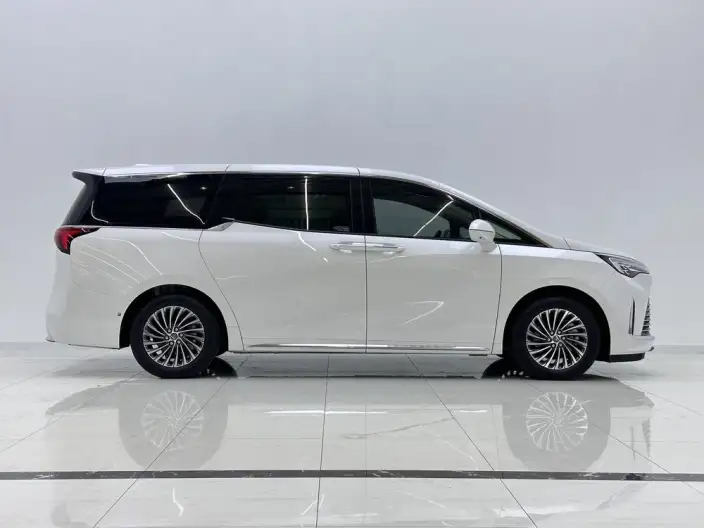 Century 2023 Model 2.0T VII seat Zhen Xiang Model – фото 8