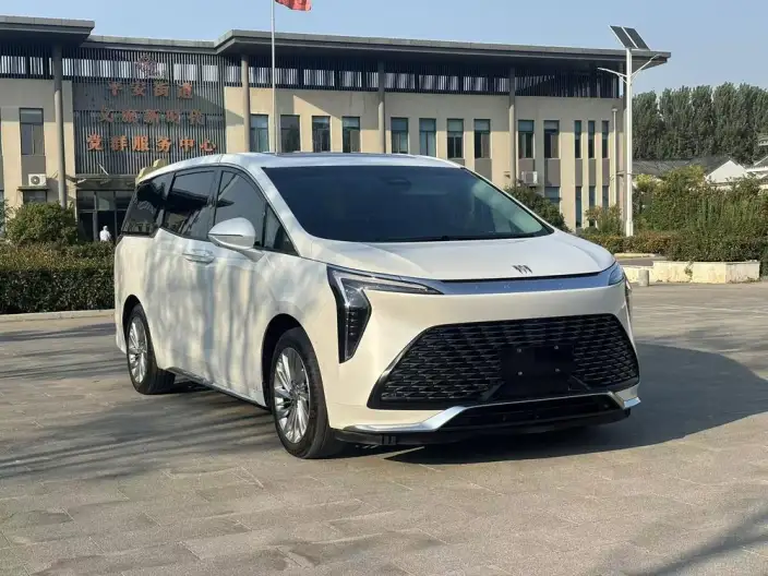 Century 2023 Model 2.0T VI seat Yunshi Edition – фото 3