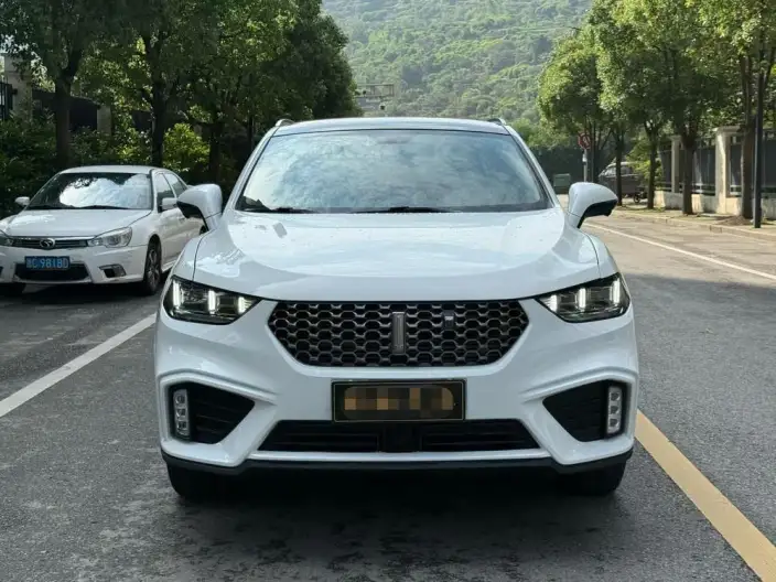 WEY VV5 2020 Model 1.5T Style Pioneer