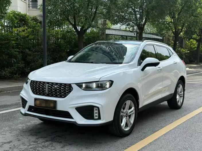 WEY VV5 2020 Model 1.5T Style Pioneer – фото 10