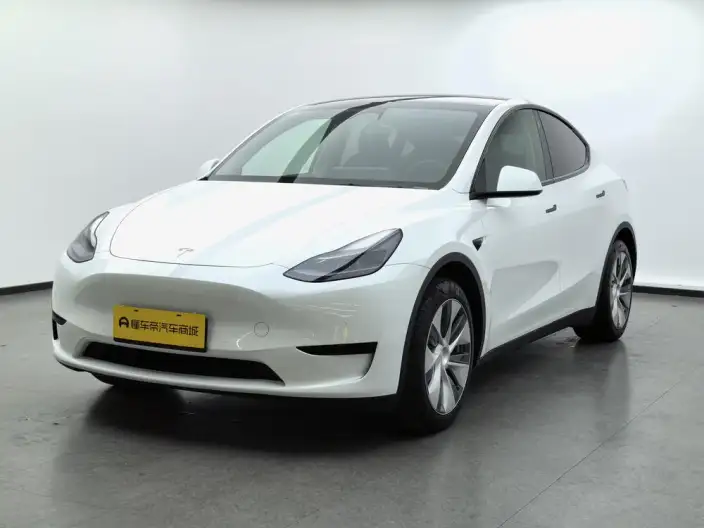 Model Y 2022 Model Facelift Rear-wheel drive version – фото 1