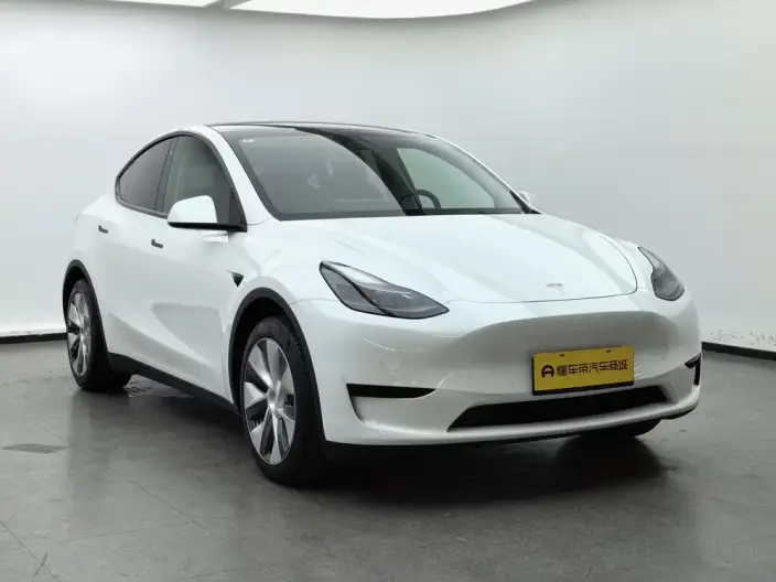 Model Y 2022 Model Facelift Rear-wheel drive version – фото 3