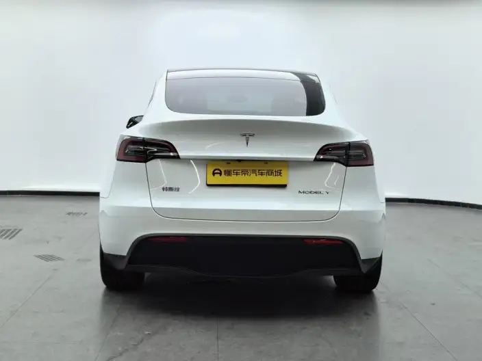 Model Y 2022 Model Facelift Rear-wheel drive version – фото 6