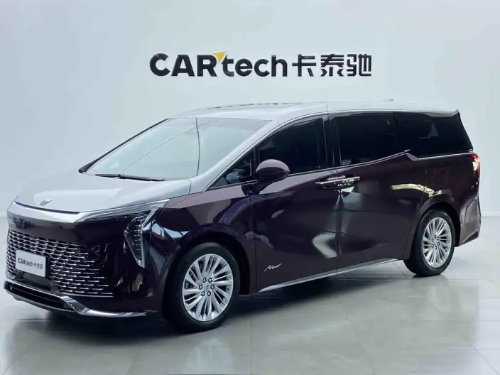 Century 2023 Model 2.0T VII seat Yunshi Edition – фото 1