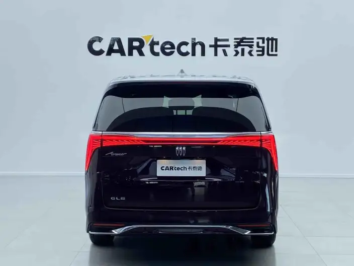 Century 2023 Model 2.0T VII seat Yunshi Edition – фото 4
