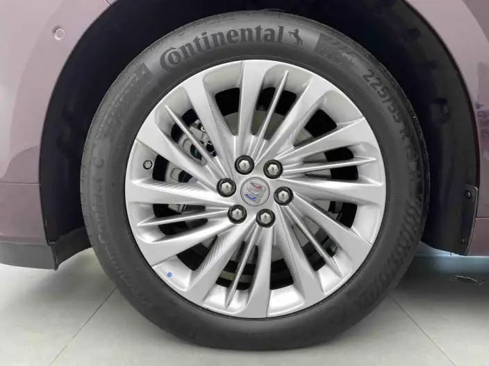 Century 2023 Model 2.0T VII seat Yunshi Edition – фото 6