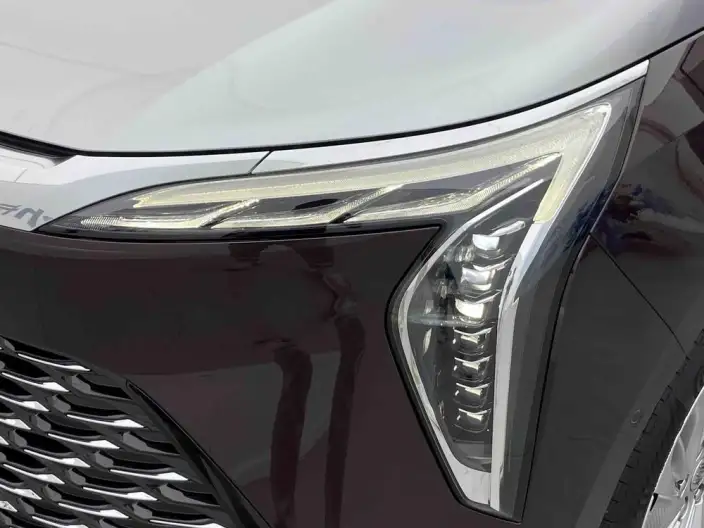Century 2023 Model 2.0T VII seat Yunshi Edition – фото 8